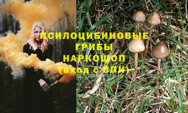 PSILOCYBIN Вяземский